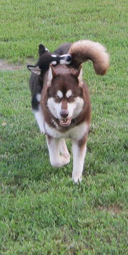 img_0184soly_osa_8_3_10.jpg