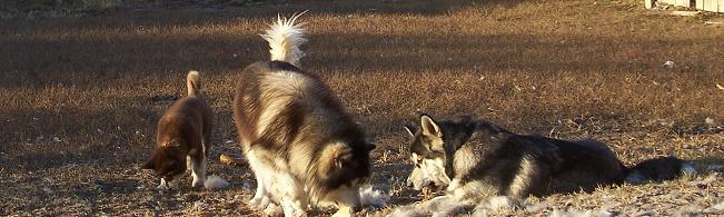 100_29_01.jpg
