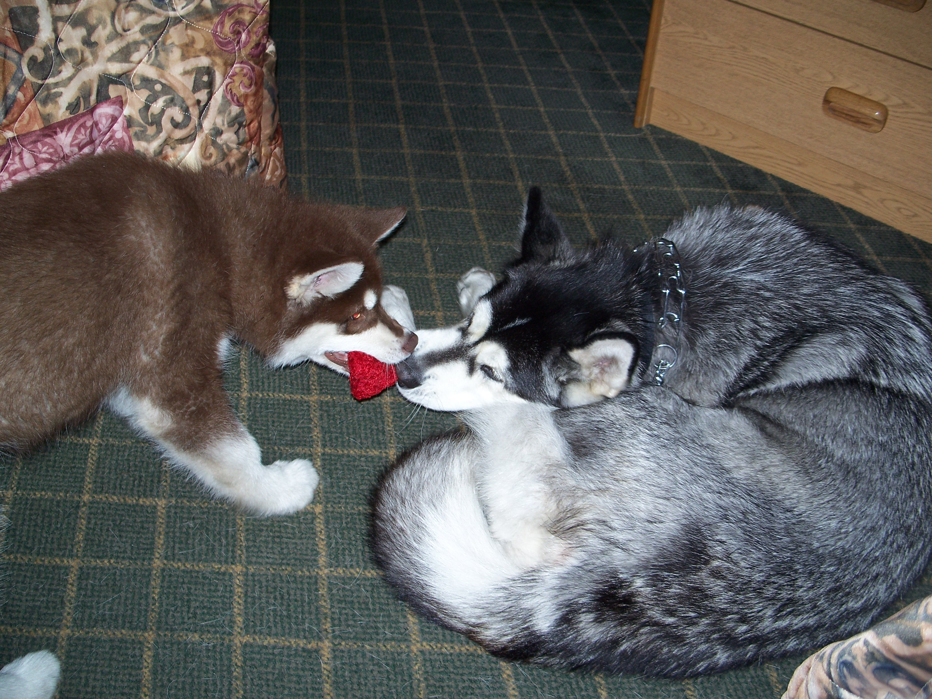 100_3066.jpg