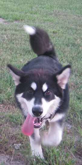 img_0467osa5_mo.jpg